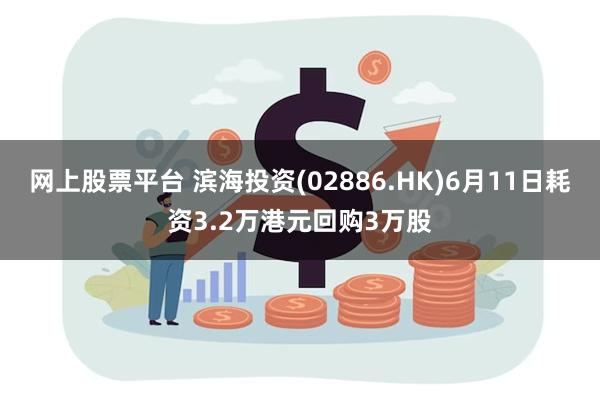 网上股票平台 滨海投资(02886.HK)6月11日耗资3.2万港元回购3万股