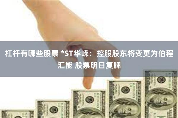 杠杆有哪些股票 *ST华嵘：控股股东将变更为伯程汇能 股票明日复牌