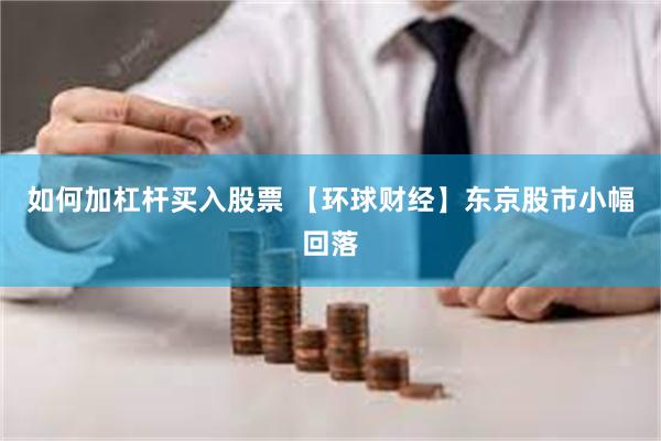 如何加杠杆买入股票 【环球财经】东京股市小幅回落